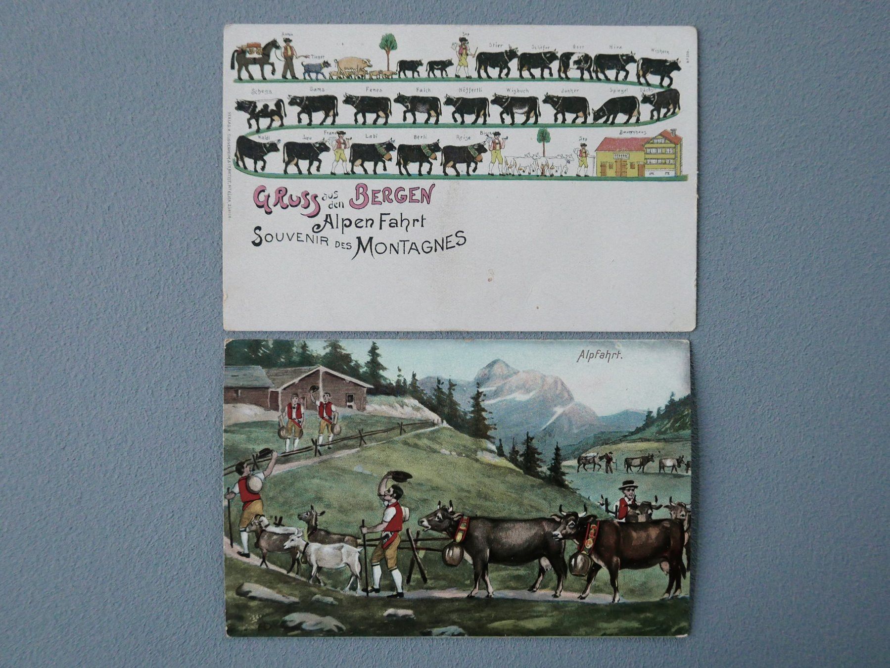 Cartoline postali: ANTIKE ANSICHTSKARTEN ALPFAHRT APPENZELL – Usato da Balgach venduto da Zwischenraum