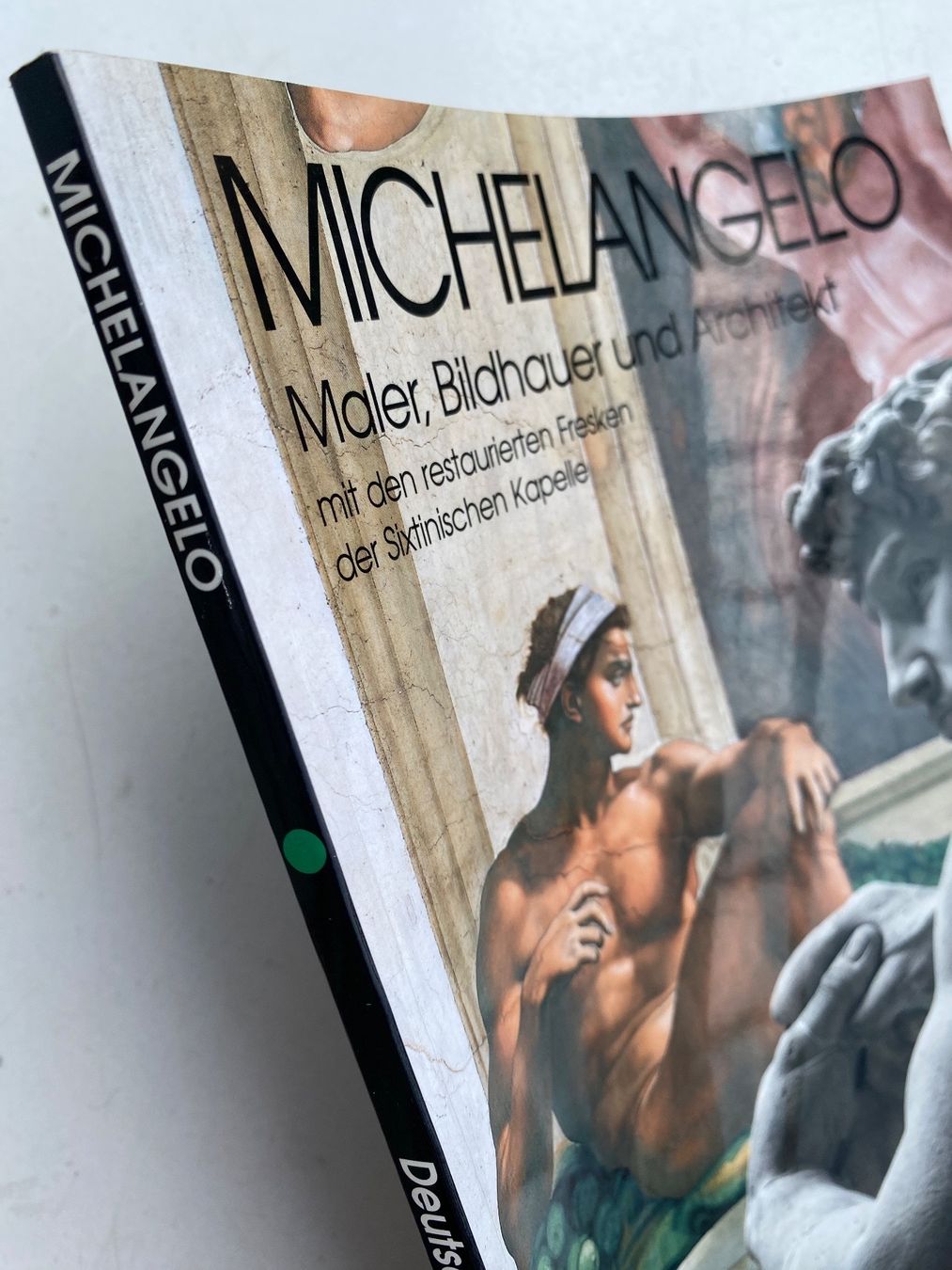 Libri: MICHELANGELO - MALER - BILDHAUER UND ARCHITEKT – Usato da Zürich venduto da lesgarcons 5