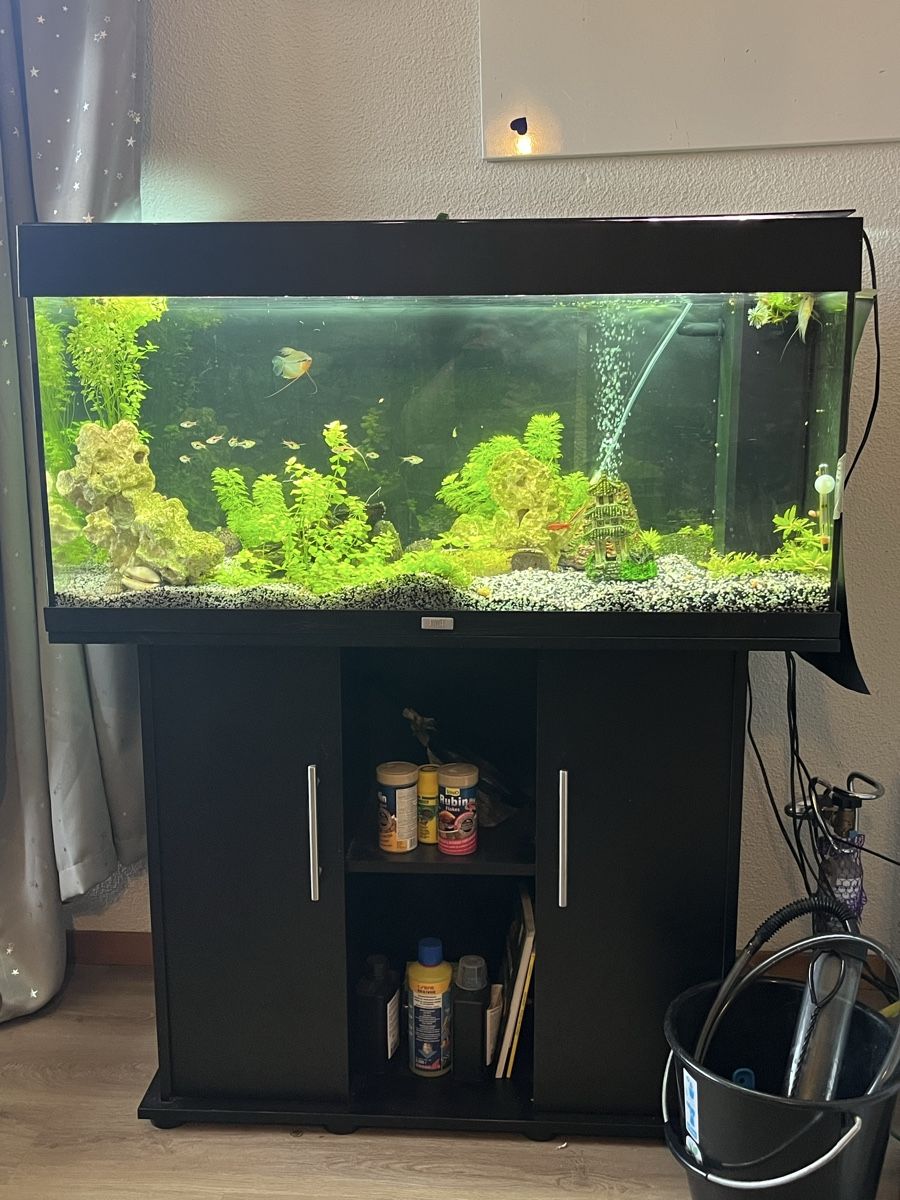 Aquarium: Aquarium – D'occasion à Nänikon par Baetzi10
