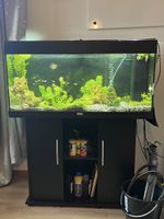 Aquarium