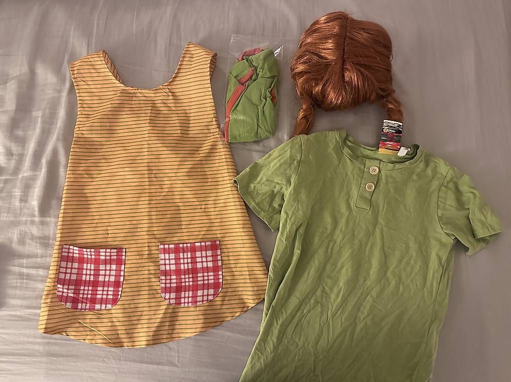 Kostüme: Pippi Langstrumpf Kostüm mit Perücke – Gebraucht aus Brugg AG von tckrasni 1