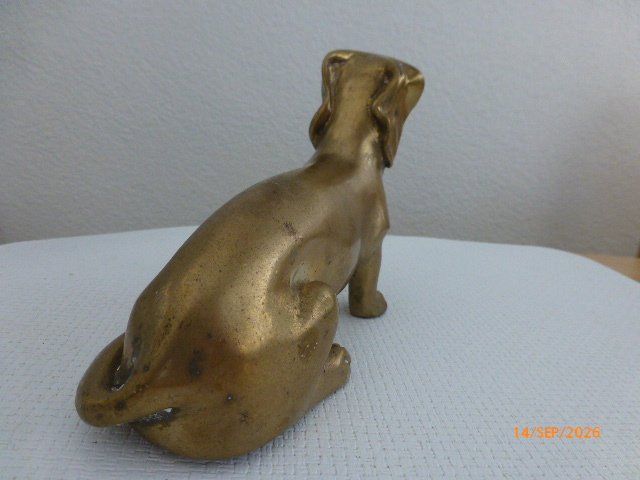 Sculture & Statue: Herziger Dackel aus Bronze. – Usato da Pratteln venduto da Emperial 3