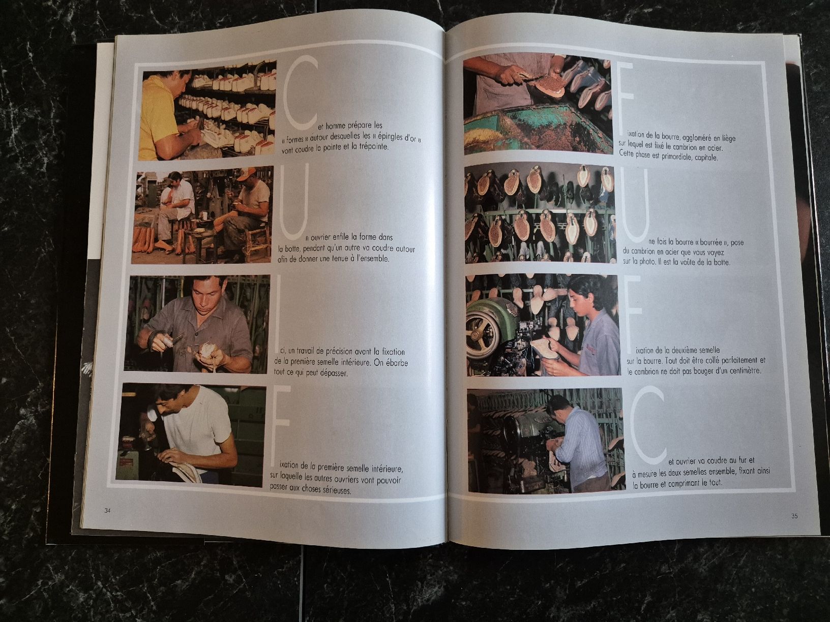Libri: Livre Harley-Davidson – Usato da Le Locle venduto da CHEGUA 4
