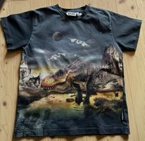 MOLO T-shirt Gr.128 Jurassic World
