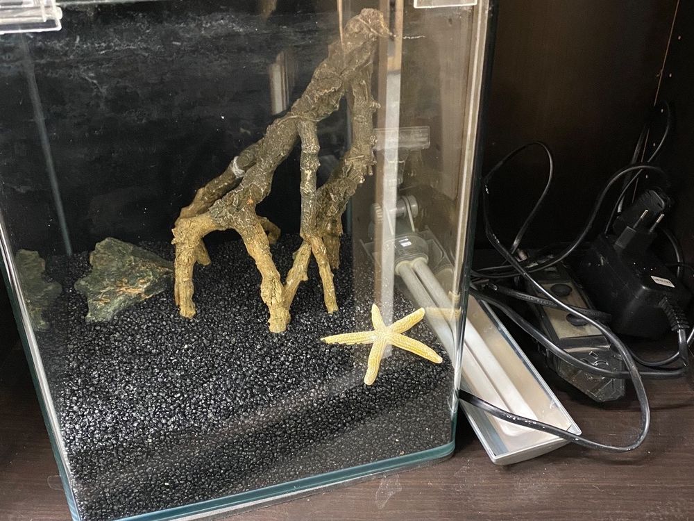 Kleines Glas-Aquarium, 2 Liter – Mit LED-Beleuchtung, Ideal Für Einsteiger & Mini-Aquaristik