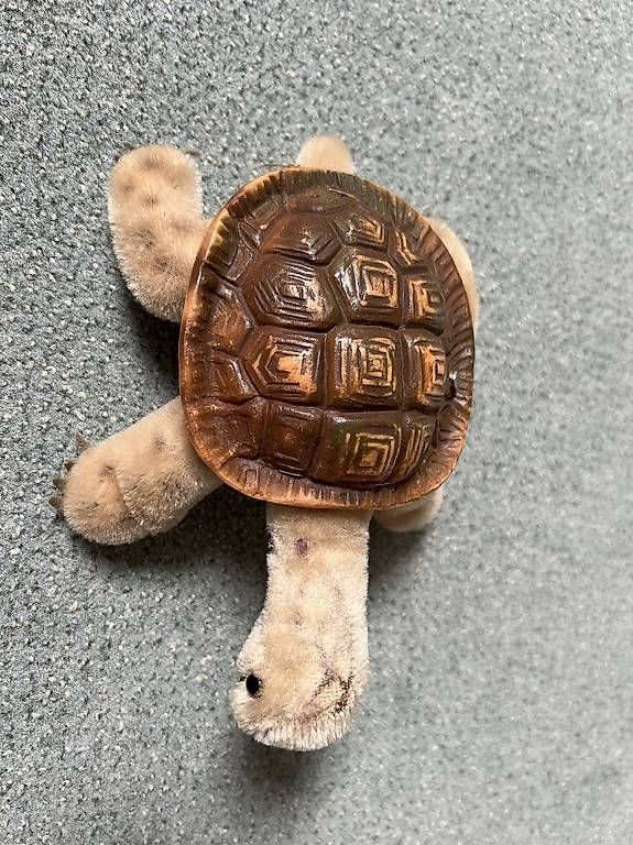 Giocattoli: Steiff Vintage Schildkröte Slo  – Usato da Zürich venduto da Voerny