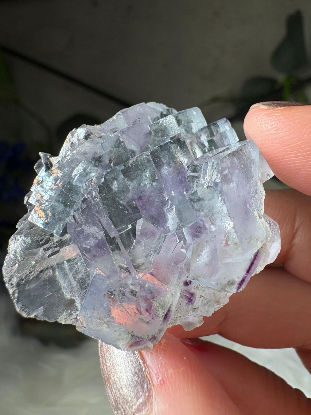 Minerali & Pietre curative: Yaogangxian Fluorit – Nuovo (secondo la descrizione) da Neuheim venduto da m.hald 4