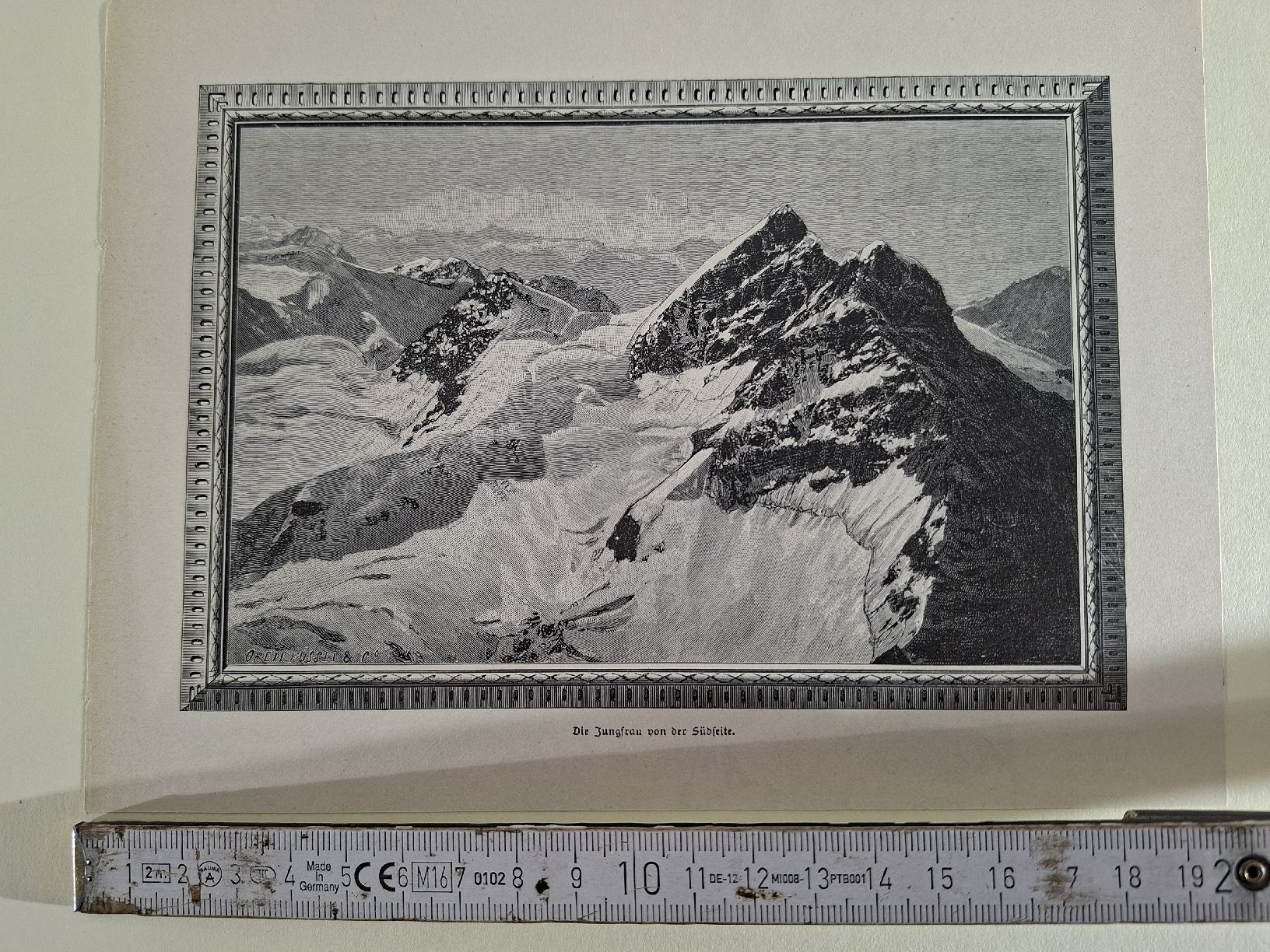 Incisioni: Lot 29 , 5 Stiche  – Usato da Grindelwald venduto da carro5 9