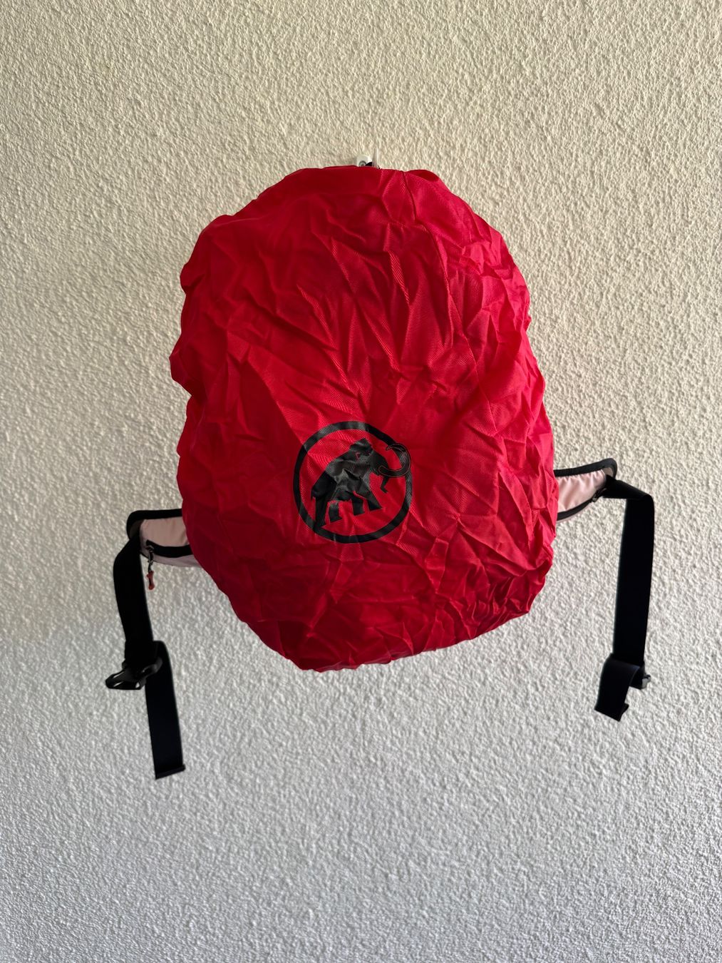 Mammut Zaini: Rosa Mammutrucksack – Usato da Künten venduto da andi_5454 3