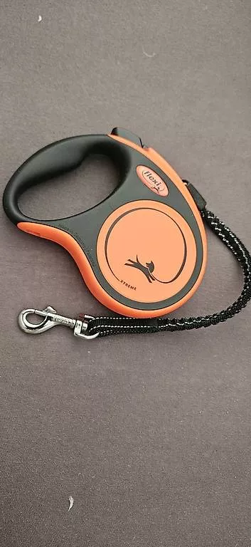 Leine & Halsband: Flexi guinzaglio  – Gebraucht aus novazzano von remolabarca1
