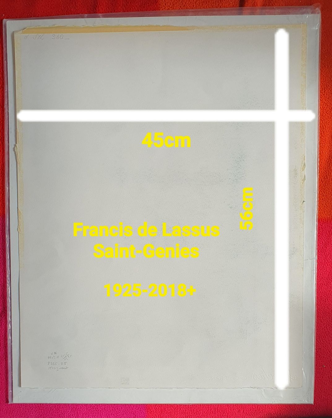 Grafica & Litografie: lithographie Saint-Genies – Usato da Servion venduto da meno999 3