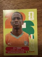 Panini Fifa CIV 7