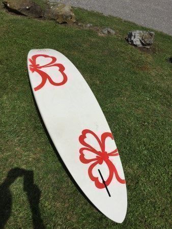 Surfboards & Schwimmbrette: Windsurf Board Bic Tabou 74 L. +2 Finnen – Gebraucht aus Mellingen von Browser67 2