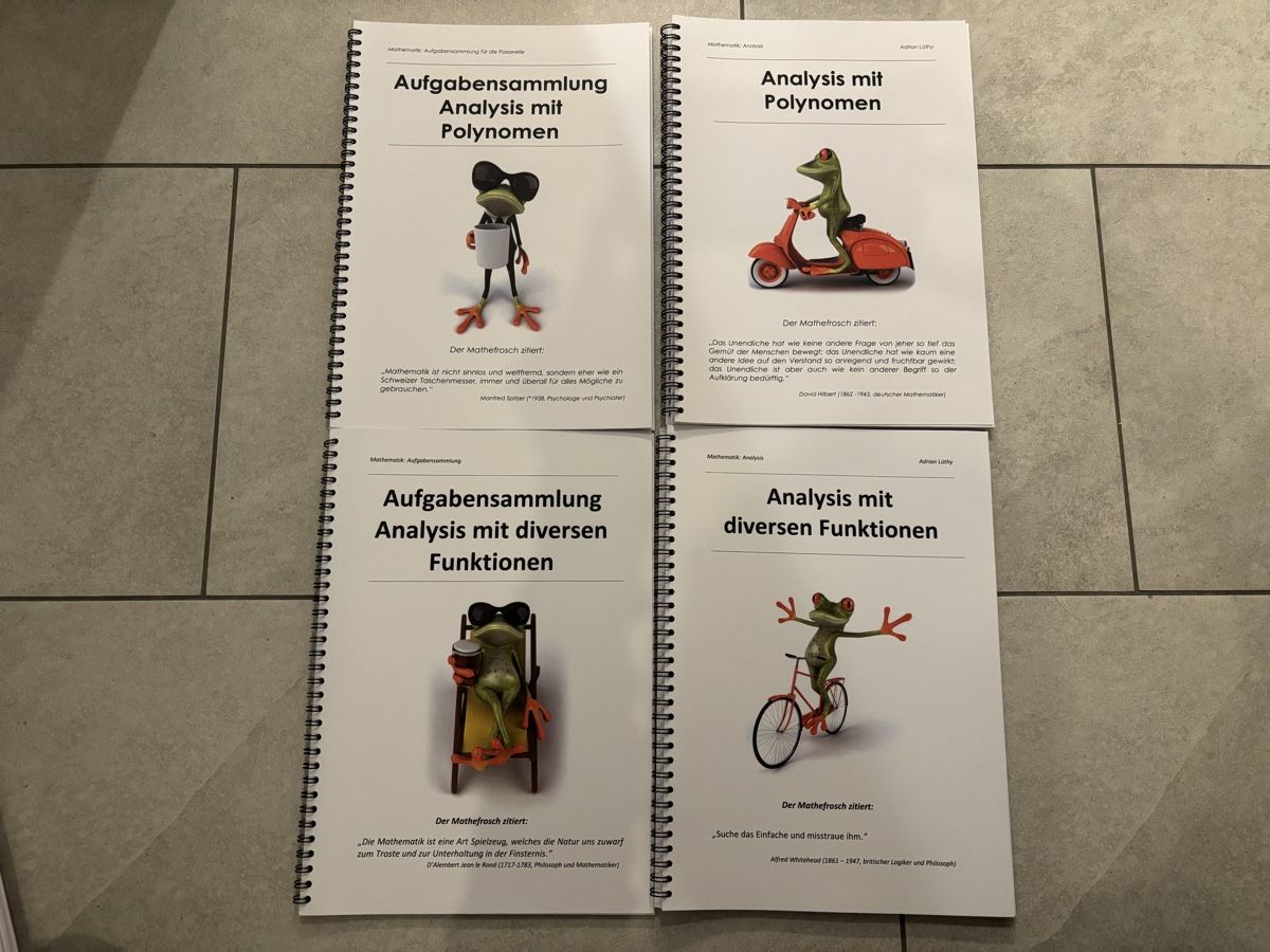 Libri: Passerellen Bücher – Usato da Hochdorf venduto da vanny_jessie 1