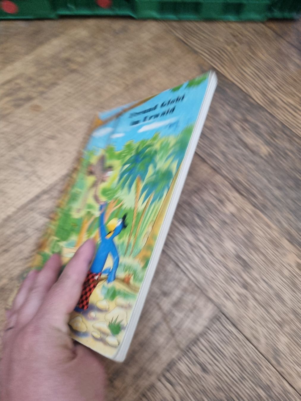 Libri: Livre Globi im Urwald  – Usato da Fribourg venduto da sal_5ln6 3