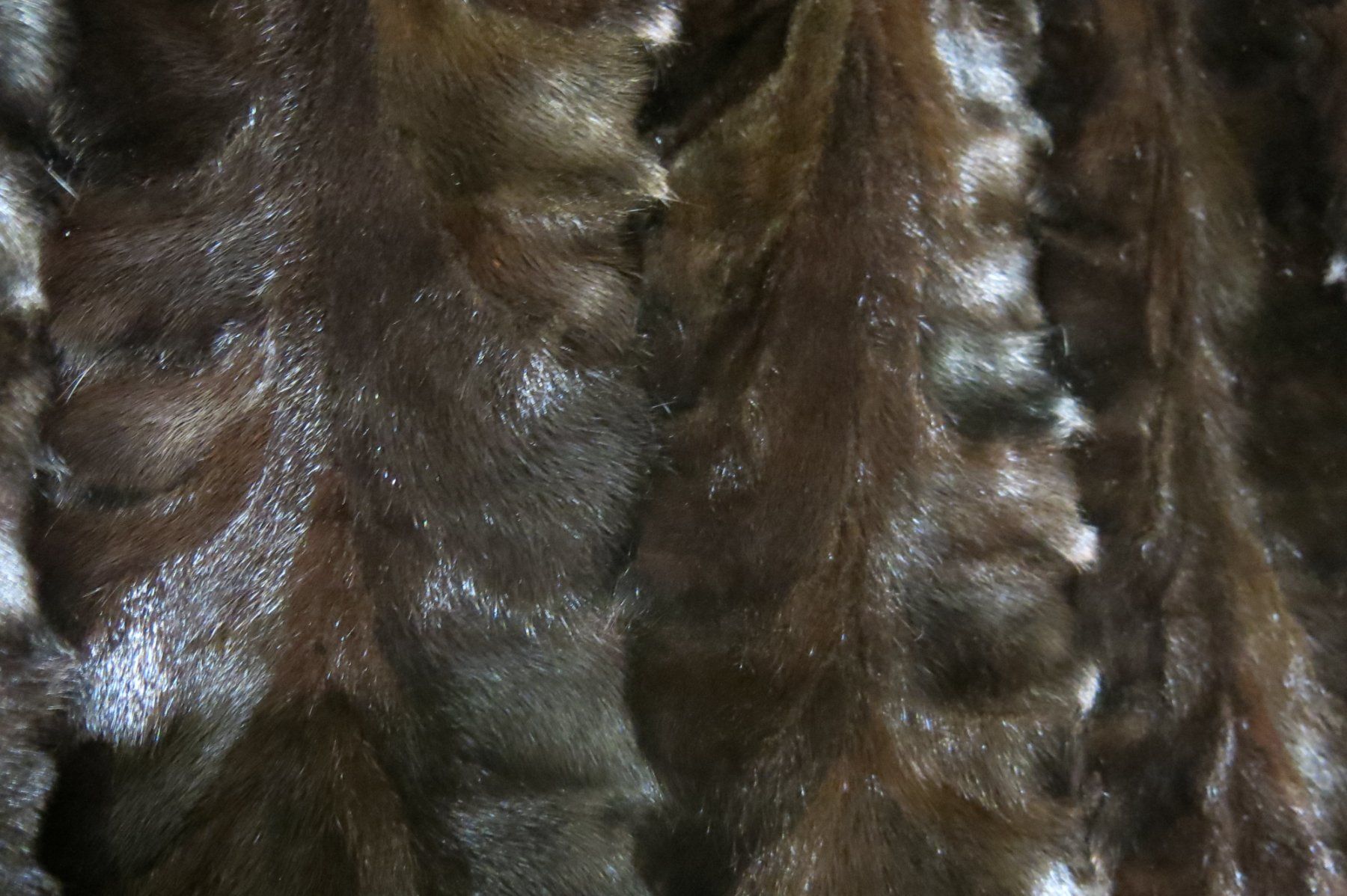 Giacche: Vintage Echtpelz Jacke, Grösse M, ca. 38. – Usato da Birsfelden venduto da myshop 3