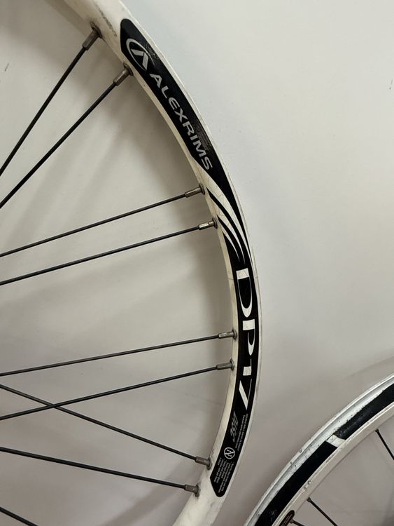 26 Zoll Hinterrad,Vorderrad– Alexrims DM24 – für MTB (Gebraucht) in ...