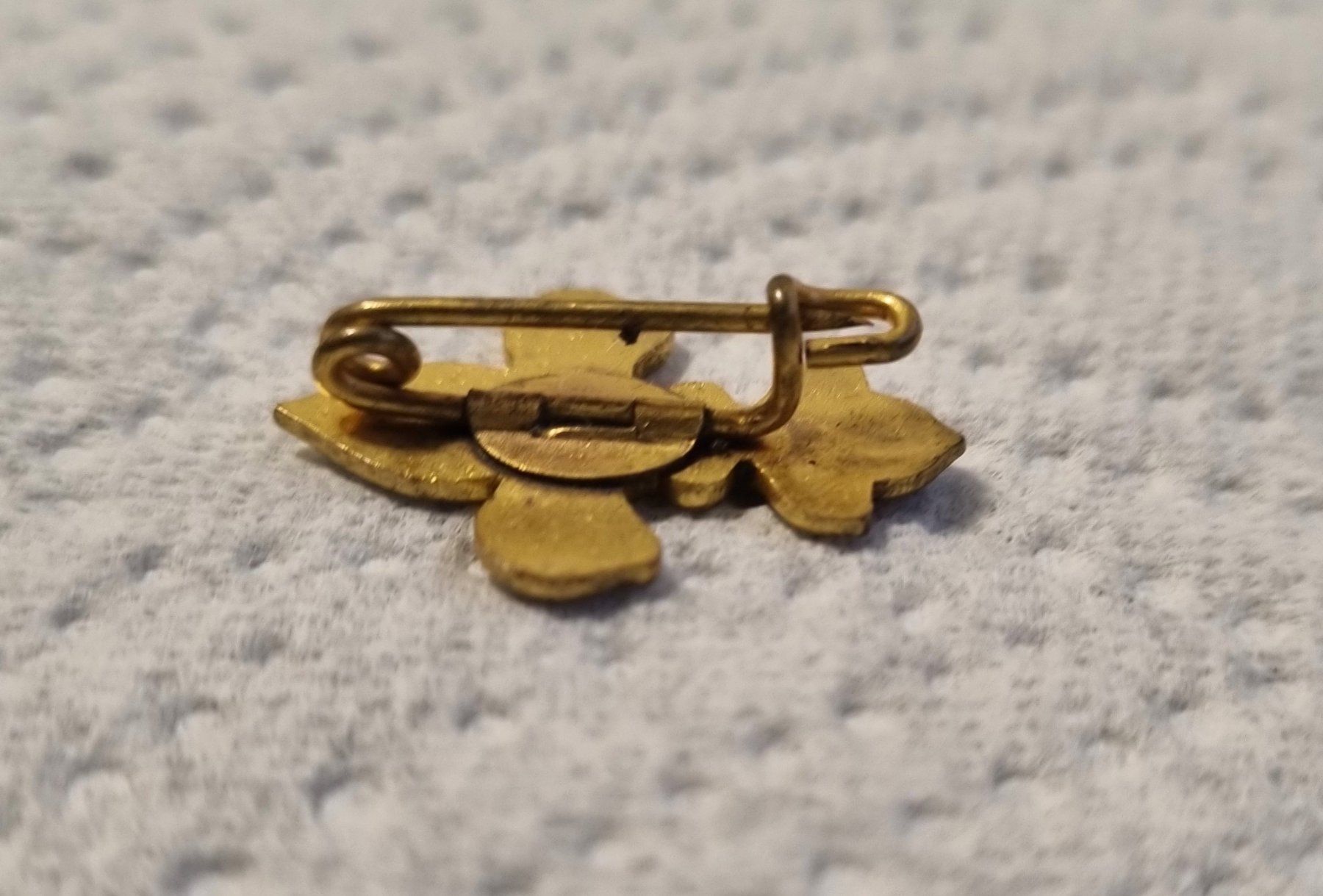 Broschen & Nadeln: Schönes Pfadi Abzeichen Vintage - Brosche – Gebraucht aus Nottwil von Janny77 1