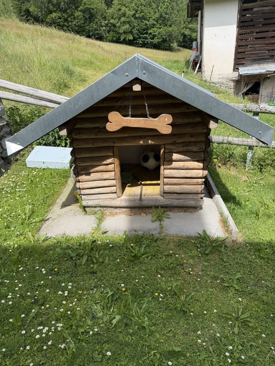 Cucce & Letti: Hundehütte – Usato da Trun venduto da Scooby_04