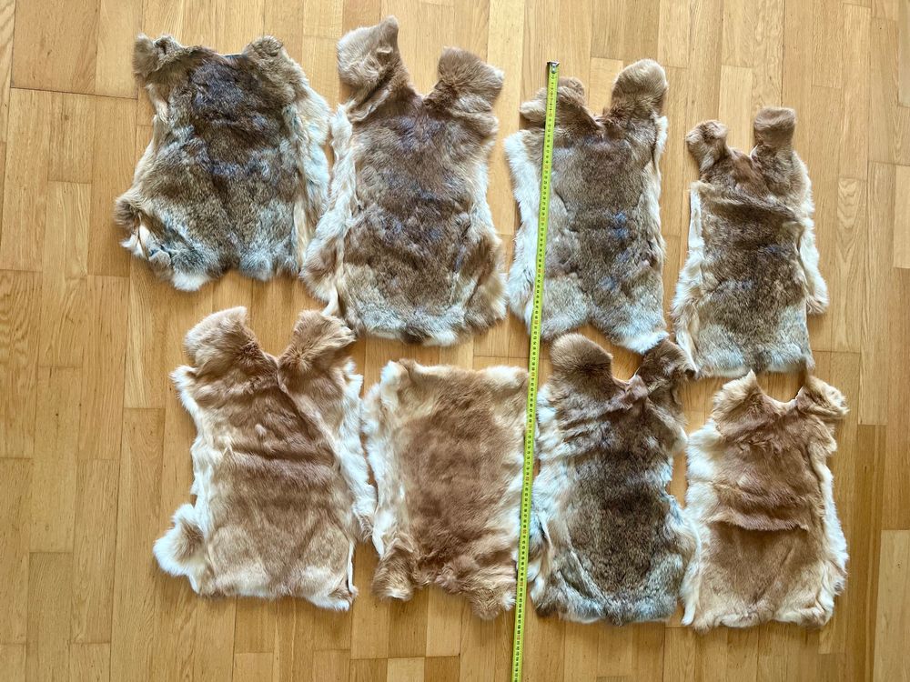 Fell Pelz von 8 Kaninchen (sehr glückliche Bio-Tiere!) (Neu (gemäss ...