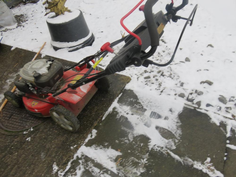 XXL Rasenmäher 🤩Hecht 5564 SXE 60 cm Gehäuse.Schnitt 56 cm Kaufen auf