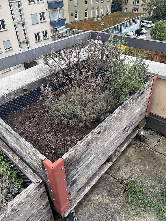 Vasi per fiori: Hochbeet (Mit Rollen) – Usato da Bern venduto da simi_imis 1