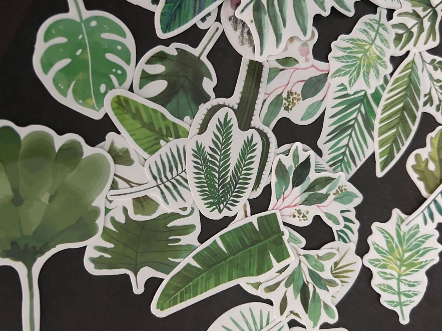 60x Diverse Pflanzen / Aufkleber Sticker (Neu (gemäss Beschreibung)) in ...