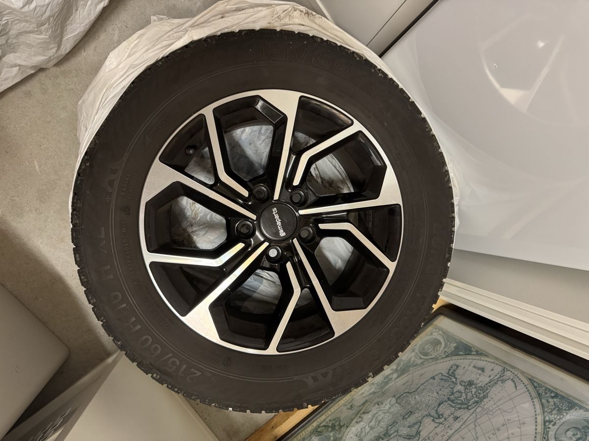 Gamaparts Pneumatici & Ruote complete: Audi Q2 16 Zoll Winterkompletträder – Usato da Solothurn venduto da flo_27sl 1