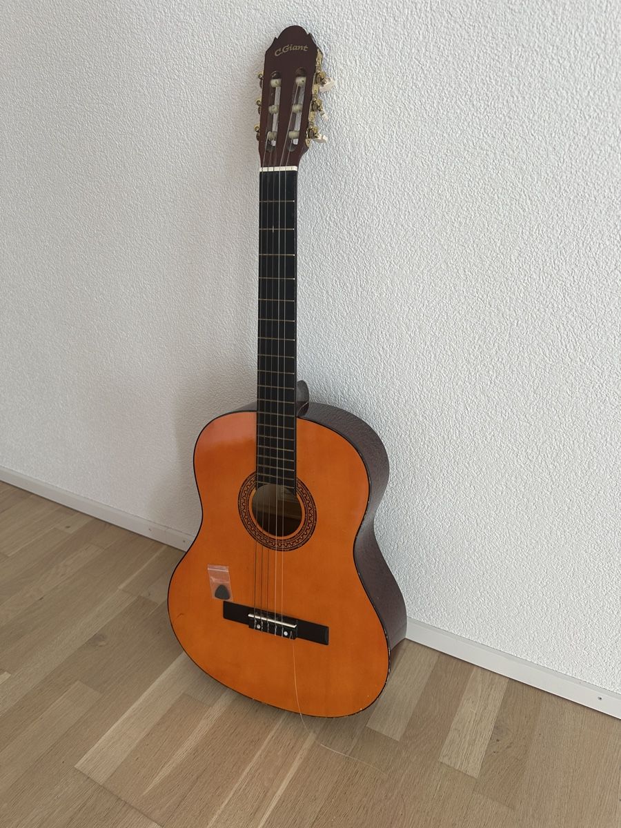 C.Giant Musikinstrumente:  C.Giant Akustikgitarre – Gebraucht aus Schaffhausen von pinca19 1