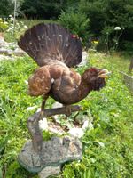 Grand tétras ou coq de Bruyère
