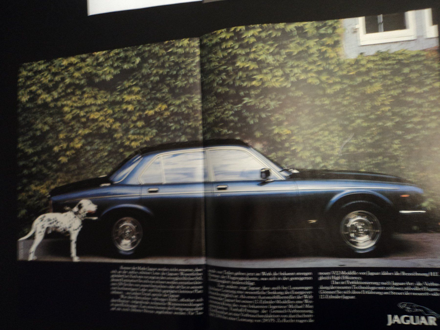 Jaguar Documenti: Prospekt Jaguar XJ-Modelle mit XJ-12 – Usato da Schwarzenburg venduto da modelCARama 1