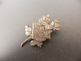 Insigne Tir Fédéral Fribourg Freiburg 1934
