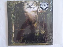 Summoning–OldMorn/A13'/NM!/LimitedEdition!WhiteRedV./Top!👍