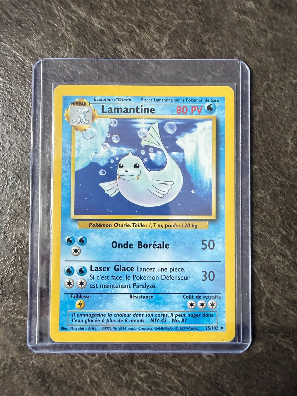 Pokémon Carte collezionabili: Carte Pokémon - Lamantine - BS 25 - FR – Usato da Aigle venduto da John_28