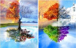 2pcs DIY 5D Diamond Painting Set 30x40cm für Home Wall Décor