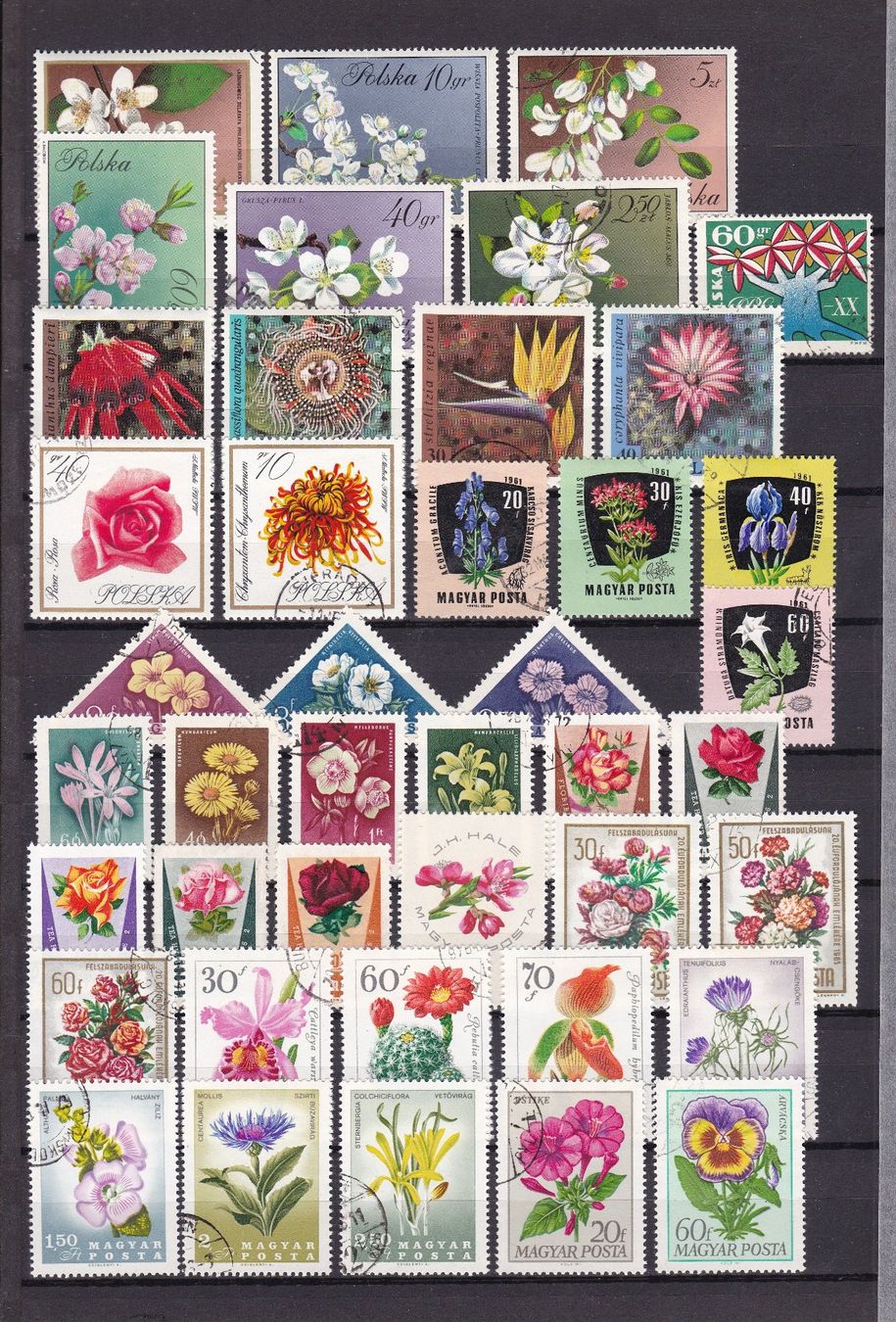 Tutti i francobolli: Motiv-Sammlung BLUMEN – Usato da Gretzenbach venduto da Sikim 1
