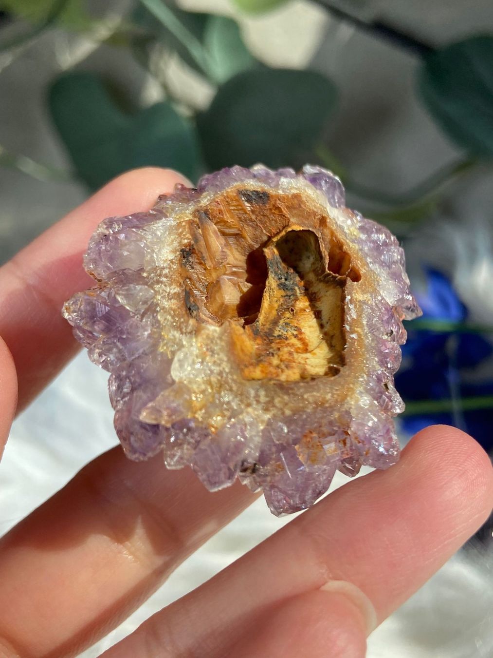 Pietre preziose: Amethyst Rosettte mit Goethit – Nuovo (secondo la descrizione) da Neuheim venduto da m.hald 4