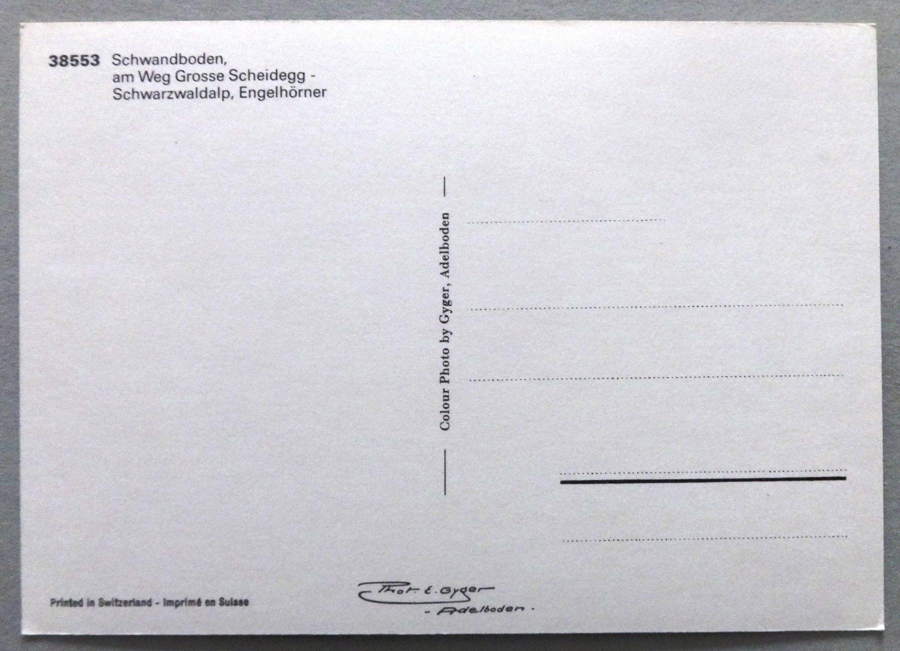 Cartoline postali: Schwandboden, am Weg Gr. Scheidegg – Usato da Fétigny venduto da Billy2miny 1
