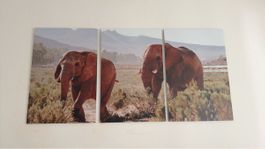 Picture elephants 3 parts canvas wall art