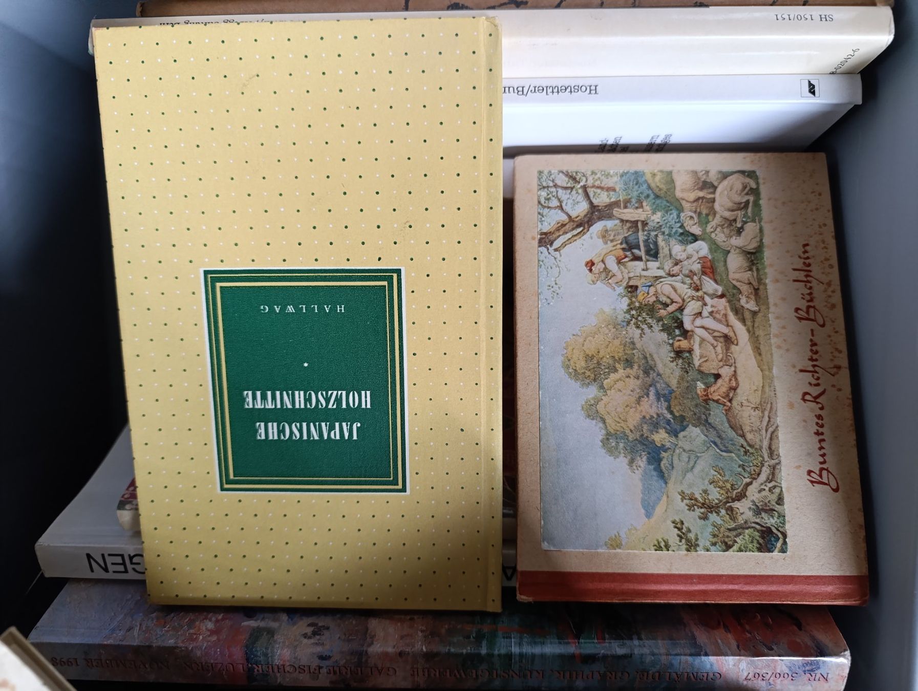 Libri: Lot Kunstbände und -bücher – Usato da zofingen venduto da Blume14 5