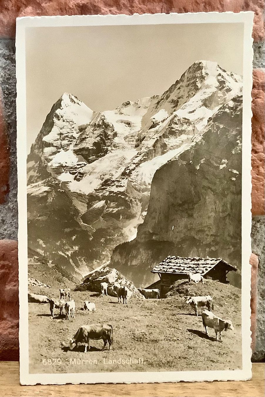 Cartoline postali: MÜRREN - Landschaft & Kühe - Berner Oberland – Usato da Root venduto da ENGLAND-TREASURES