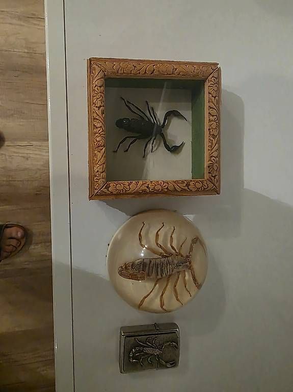 Tutte le decorazioni: 3 Skorpion Accessoires – Usato da Rüthi (Rheintal) venduto da Foensi67