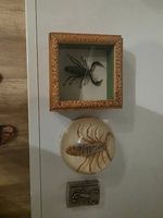 3 Skorpion Accessoires