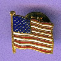 Länder Fahne   AMERIKA