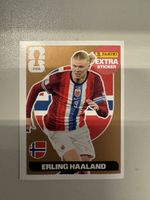 Erling Braut Haaland Bronze