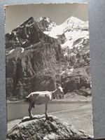 Hotel Oeschinensee bei Kandersteg