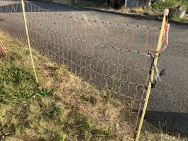 Weidezaun 12,4m