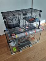Hamsterkäfig aus Glas mit Aufbau und Röhrensystem