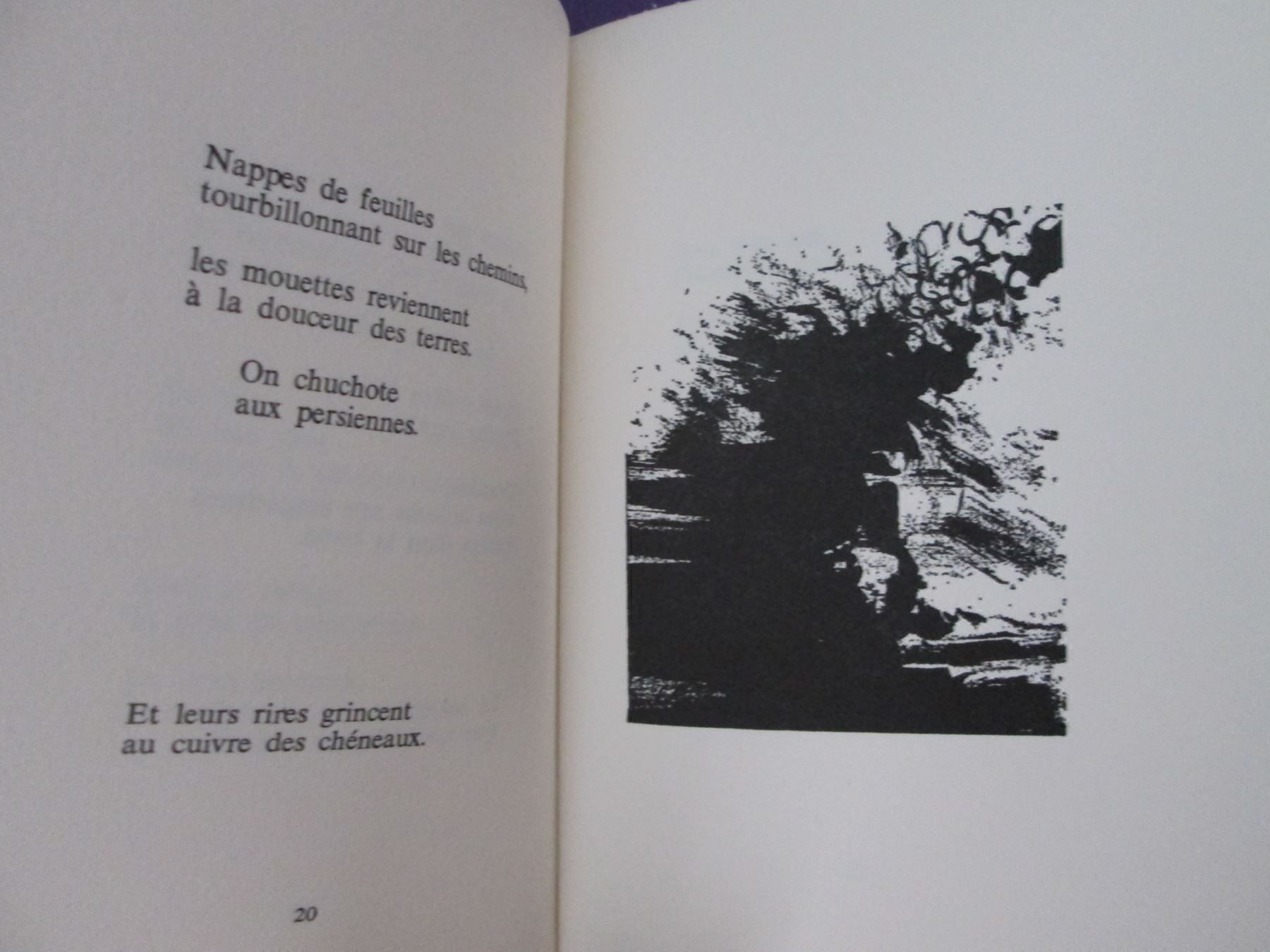 Libri: Graines - Poèmes – Usato da Neuchâtel venduto da Dualseele 6