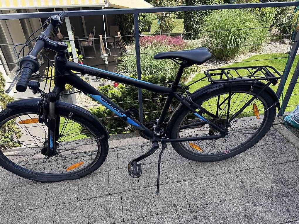 Biciclette: SERIOUS Jugendvelo – Usato da Reinach BL venduto da Enodel